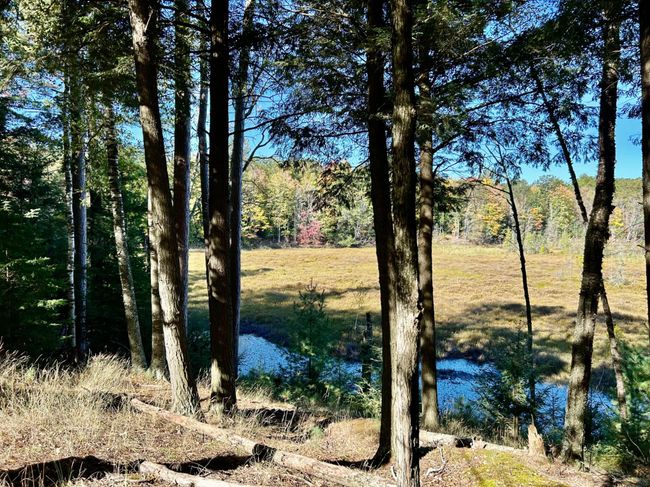 501 Arbutus Rd, House other with 2 bedrooms, 2 bathrooms and 2 parking in Pickerel WI | Image 8