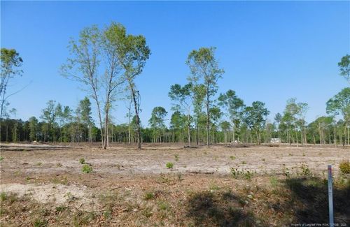 Lot 4 Nc Highway 904, Fairmont, NC, 28340-7085 | Card Image