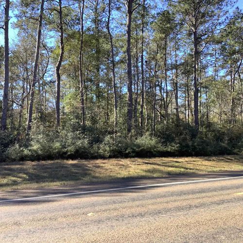 4012 Us Highway 190 E, Newton, TX, 75966-6685 | Card Image