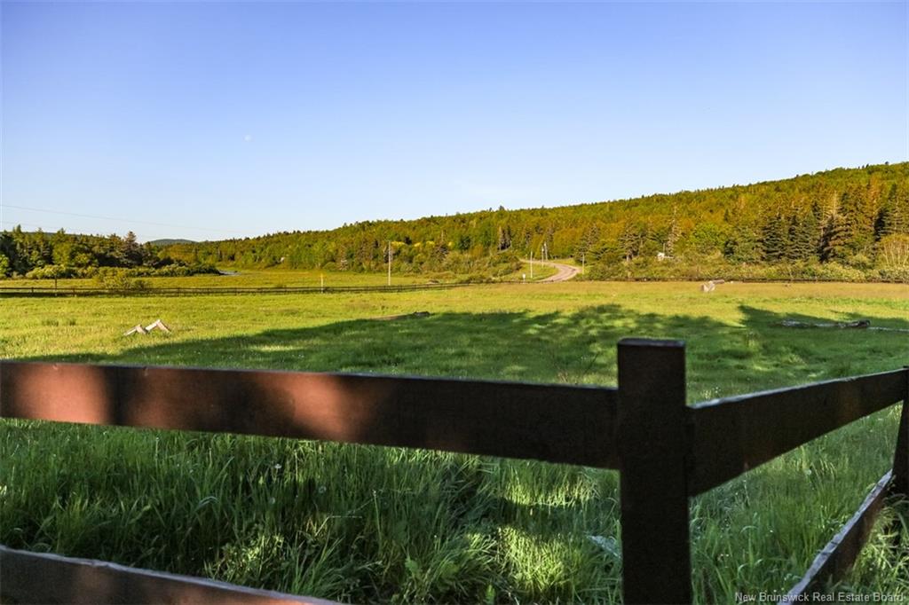 Farm in Smithtown 3