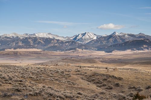 60 Shy Rd, Wilsall, MT, 59086-9496 | Card Image