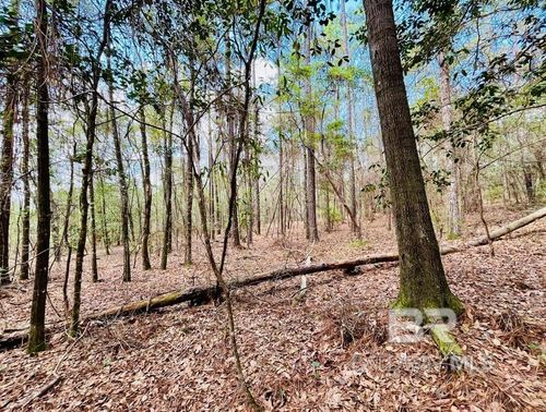 002 Phillipsville Road, Bay Minette, AL, 36507 | Card Image