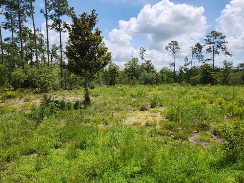 XXX Hwy 20, Other Florida, FL, 32446 | Card Image