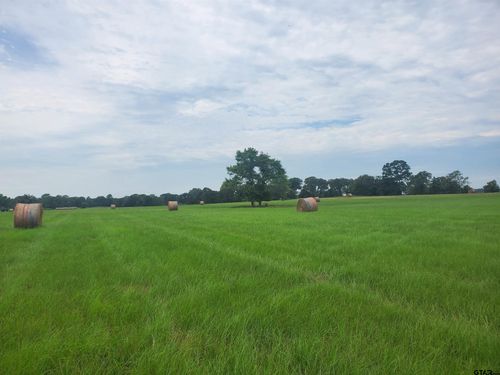 TBD County Road 4221, Frankston, TX, 75763 | Card Image