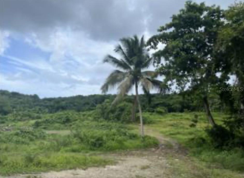 Land en venta en RIO GRANDE, EL ZARZAL