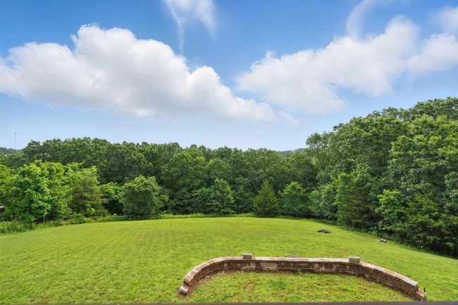 Massive Greenspace | Image 26