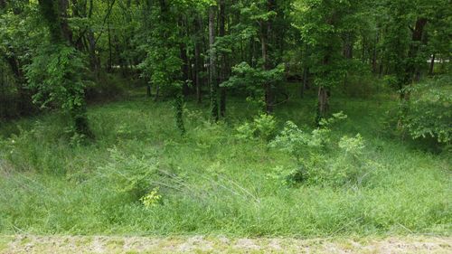 450 High St, Hollow Rock, TN, 38342-5622 | Card Image