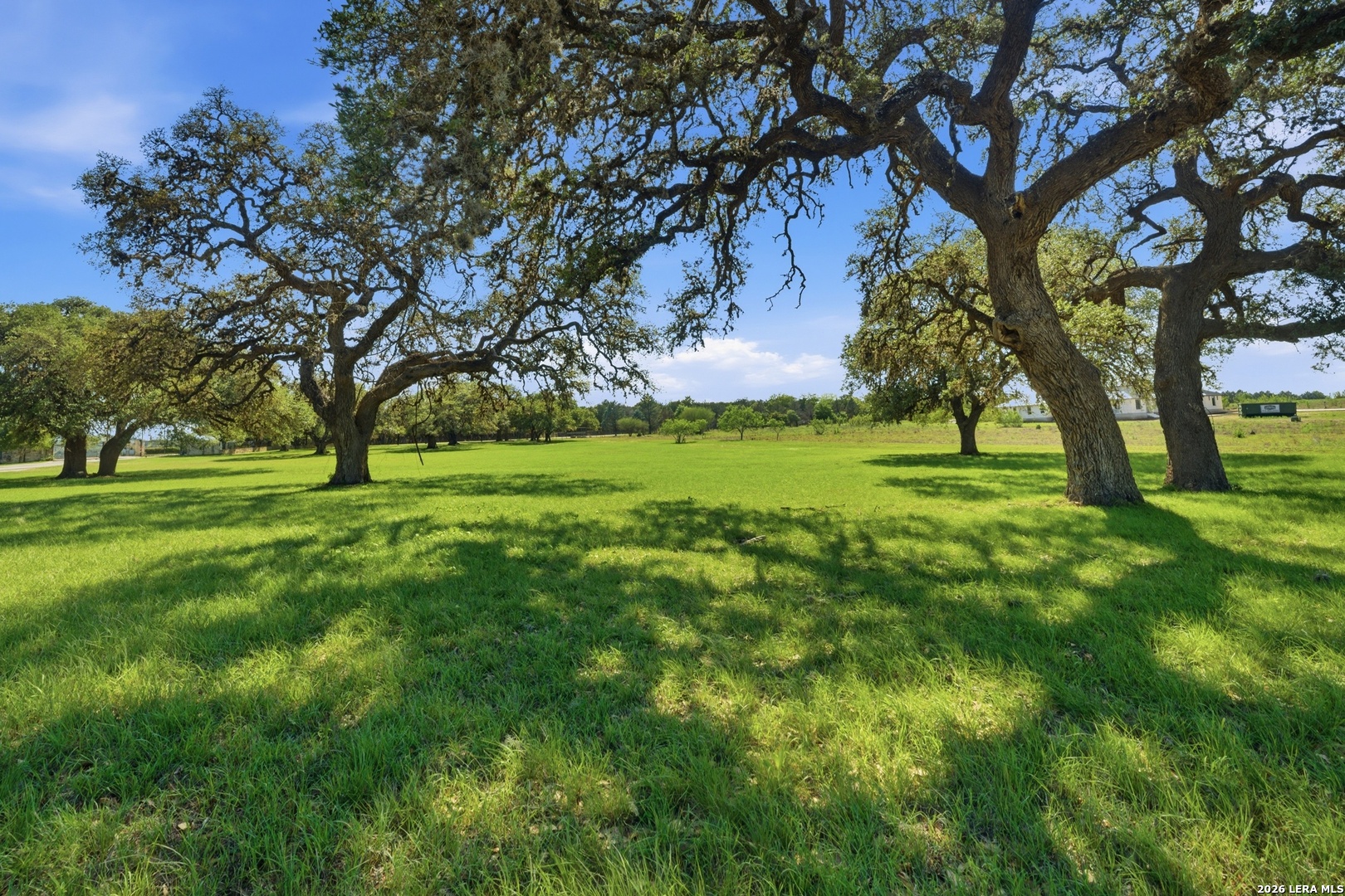 Land in Bandera