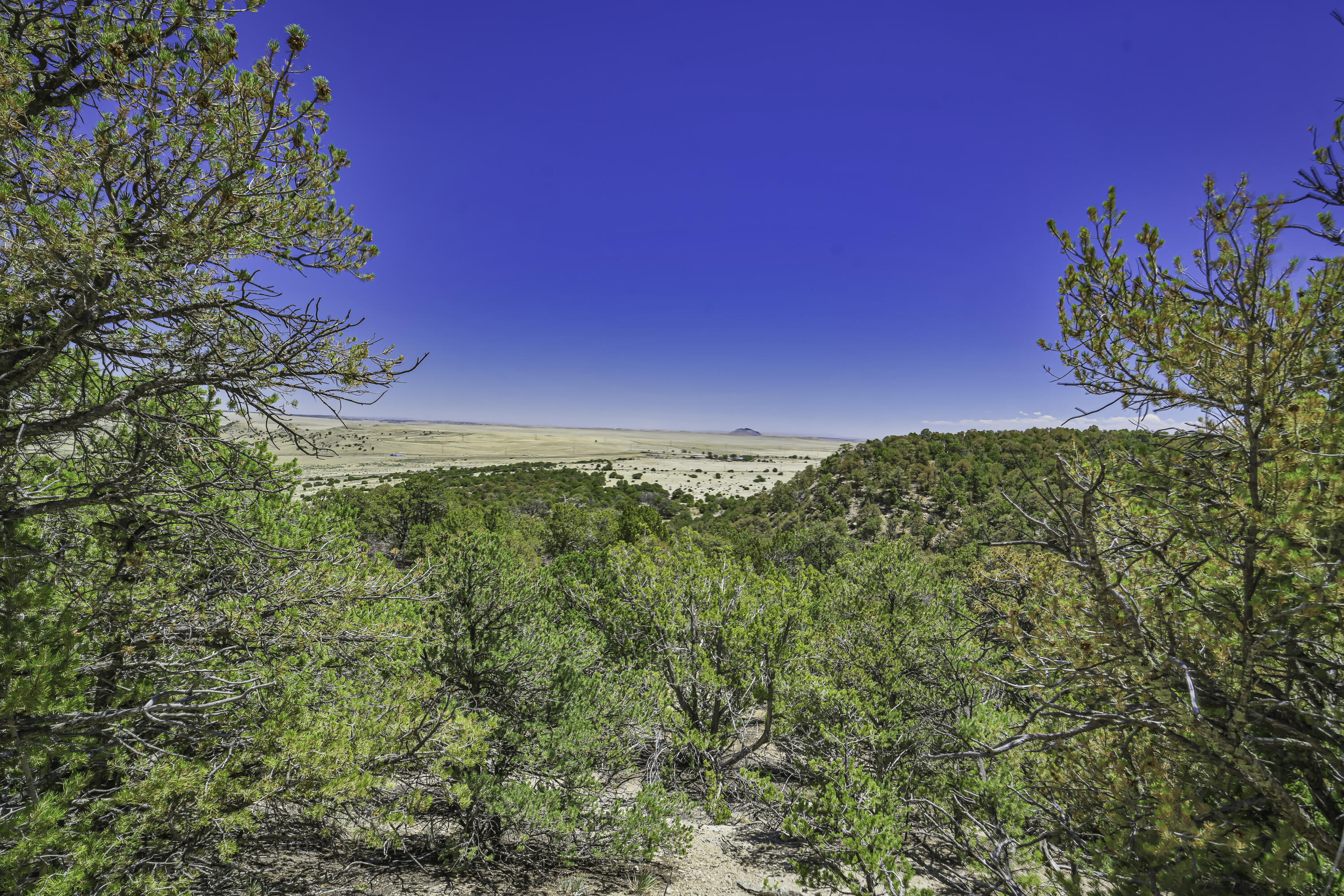 Land in Aguilar 4