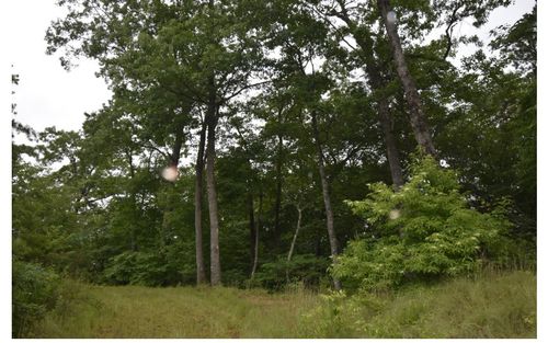 LT 36 Silo View, Marble, NC, 28905 | Card Image