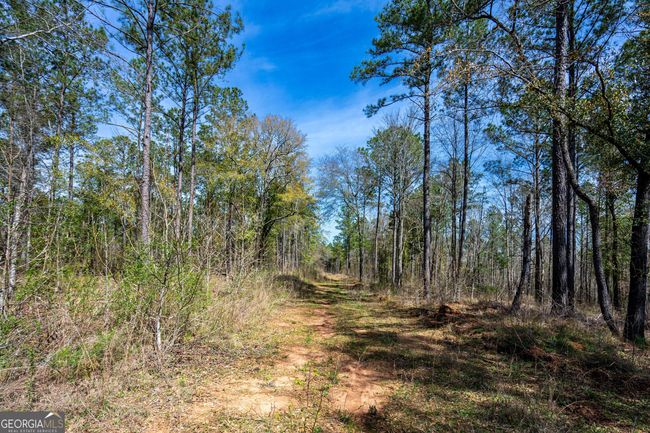 TRACT-1 - 0 Shake Rag Rd, Home with 0 bedrooms, 0 bathrooms and null parking in Pine Mountain GA | Image 6