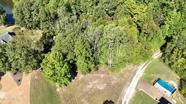 000 Cypress Cv, Home with 0 bedrooms, 0 bathrooms and null parking in Lexington TN | Image 4