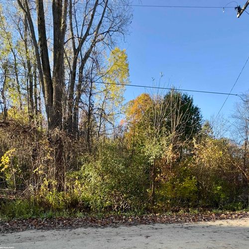 V/L Woodlawn Drive, Deerfield Township, MI, 48421 | Card Image