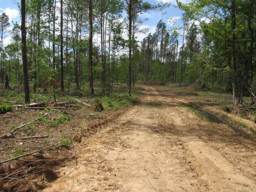 002 County Road 29, Hamburg, AR, 71646 | Card Image