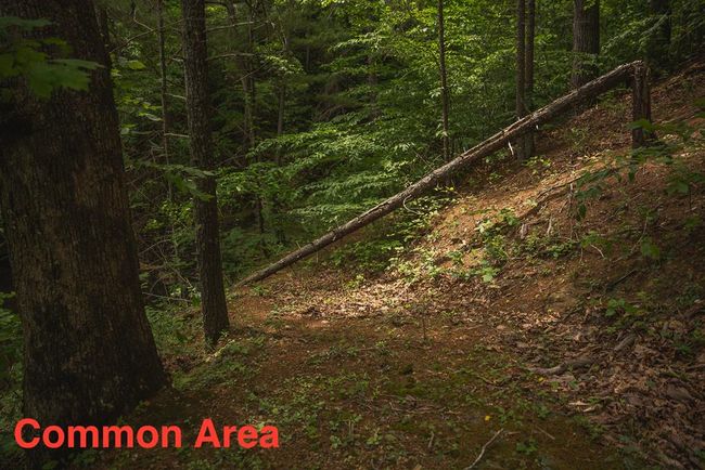 4042 Cabin Land Dr, Home with 3 bedrooms, 3 bathrooms and null parking in Radford VA | Image 48