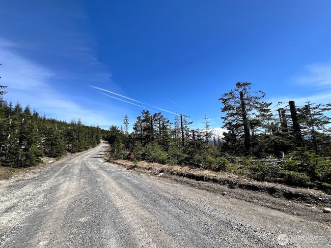 0 xxxx Spirit Lake Hwy, Home with 0 bedrooms, 0 bathrooms and null parking in Stevenson WA | Image 35