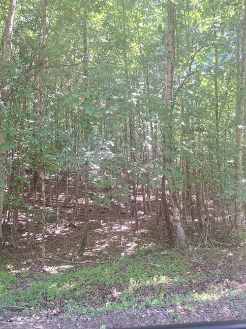 0 Judah Road, Morganton, GA, 30560 | Card Image