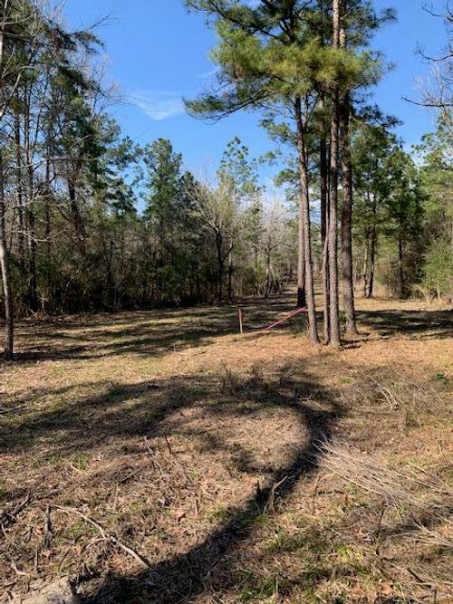 TBD E Fm 942, Leggett, TX, 77350 | Card Image