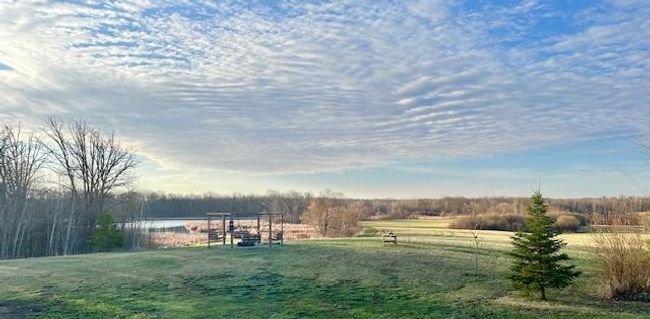Yard | Image 8