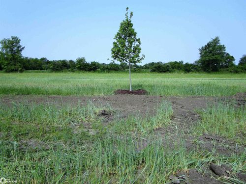 1017 Palisades Court, Iowa Falls, IA, 50126 | Card Image