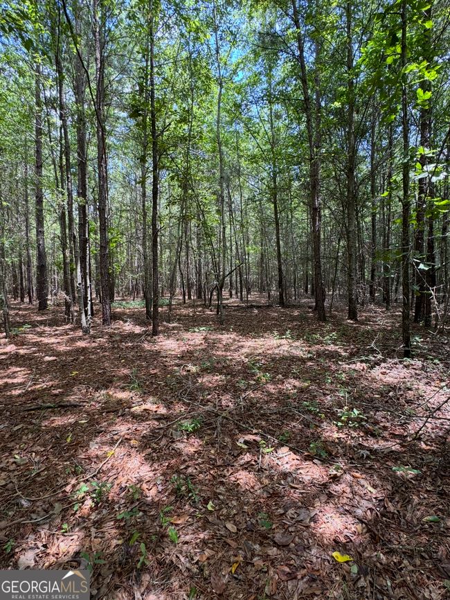 0 Tobias Rd, Home with 0 bedrooms, 0 bathrooms and null parking in Sardis GA | Image 13