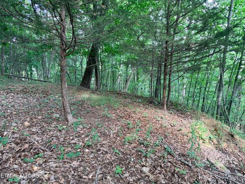 Lot 188 Chimney Rock Rd, New Tazewell, TN, 37825-6330 | Card Image