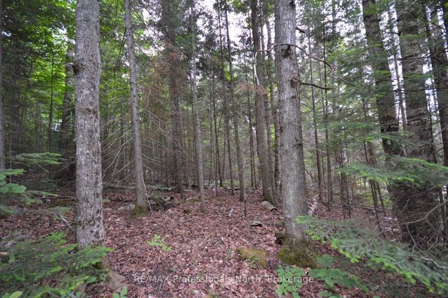 0 Harburn Rd, Home with 0 bedrooms, 0 bathrooms and null parking in Haliburton ON | Image 21