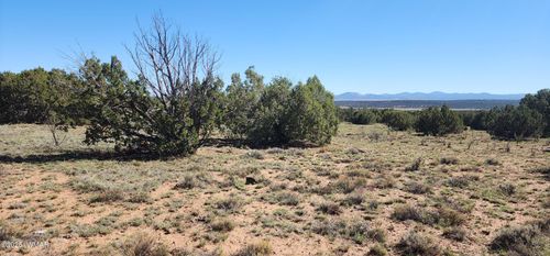 85 N8522, Concho, AZ, 85924-2384 | Card Image