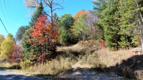 178 Gaebel Rd, Bancroft, ON, K0L1C0 | Card Image