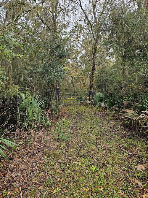 1070 County Road 136 / Live Oak, Van Vleck, TX, 77482 | Card Image