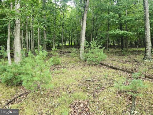 Lot 21 Fairway Ln, FRANKLIN, WV, 26807 | Card Image