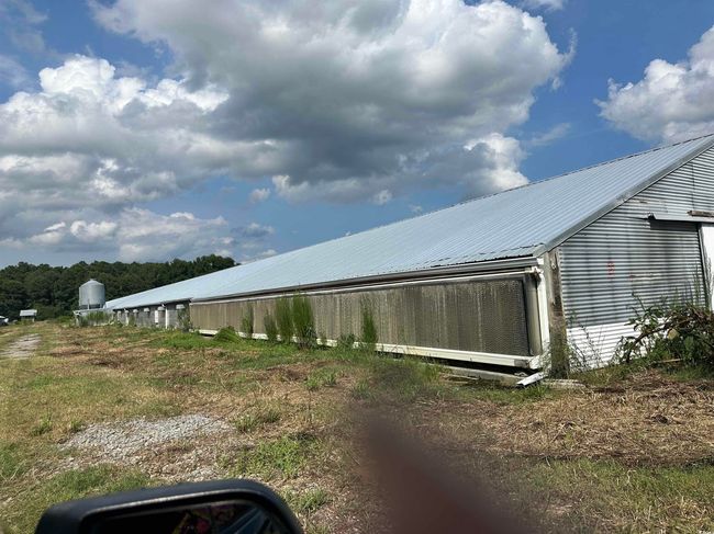 View of yard | Image 27