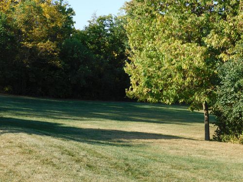 664 Oak Ct, Marseilles, IL, 61341-9551 | Card Image