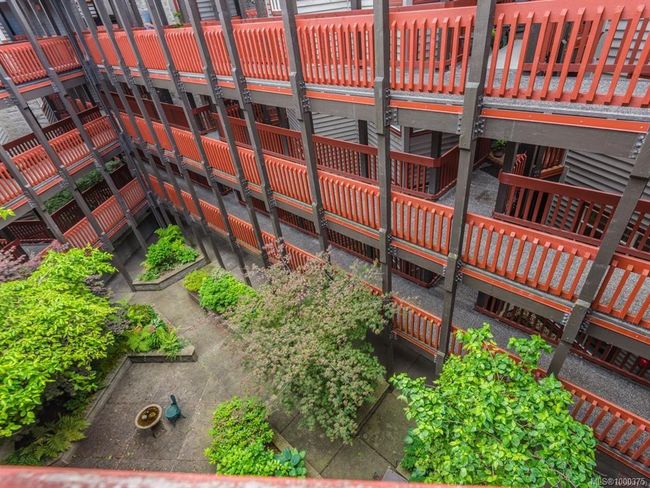 Courtyard within the Whaler building | Image 57