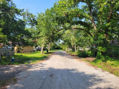 Beautiful mature trees on street. Entry page is on left of picture. | Image 1