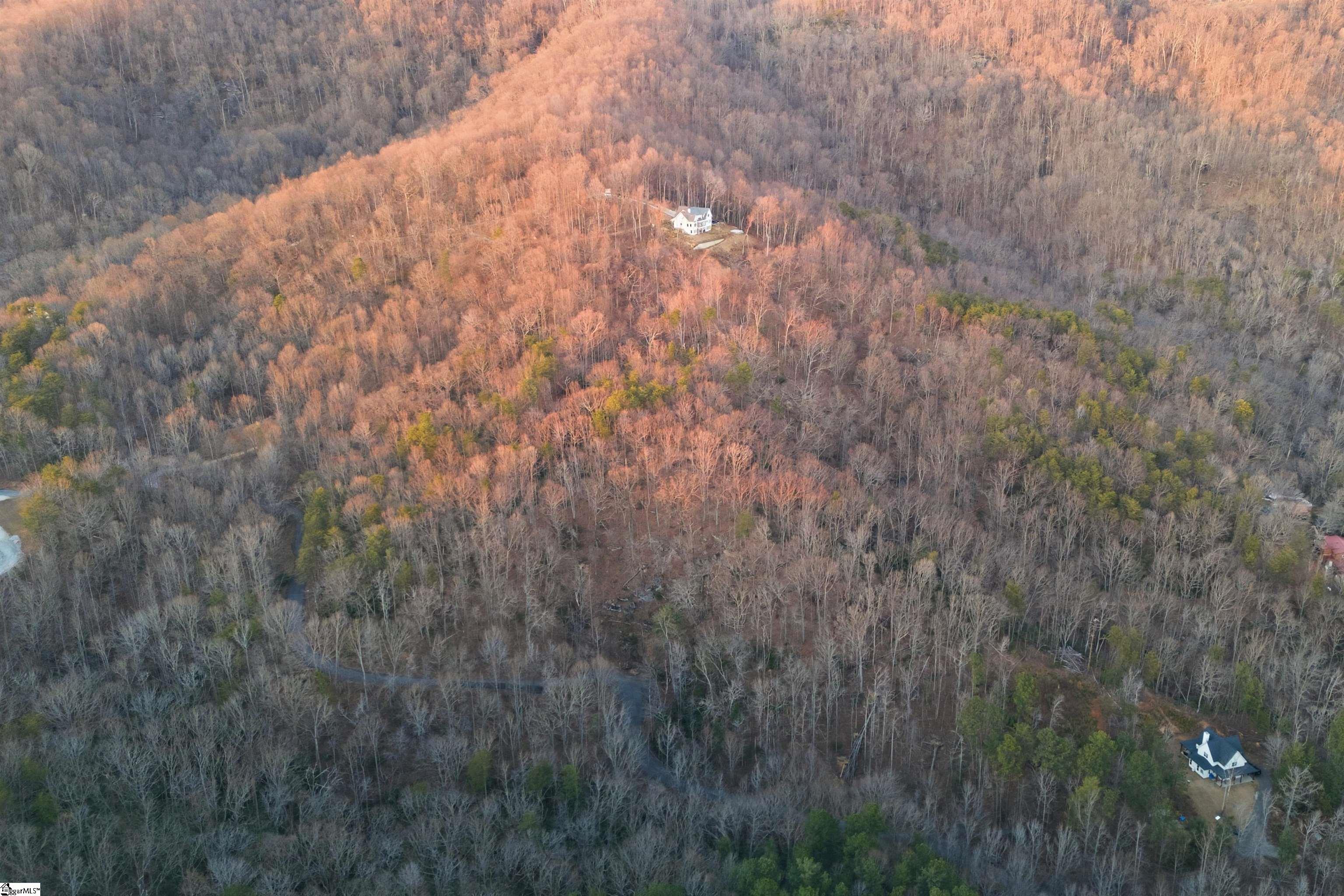 Land in Landrum 5