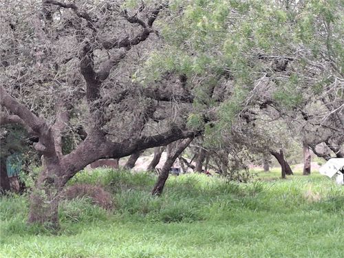 9213 Private Road 6005, Sinton, TX, 78387-5129 | Card Image