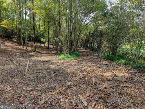 LT 39 Coras Vw, Blairsville, GA, 30512 | Card Image