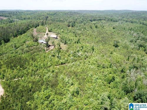 0-445 Blalock Ln, LAWLEY, AL, 36793-7262 | Card Image