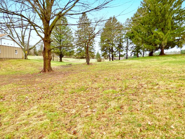 back yard c | Image 25