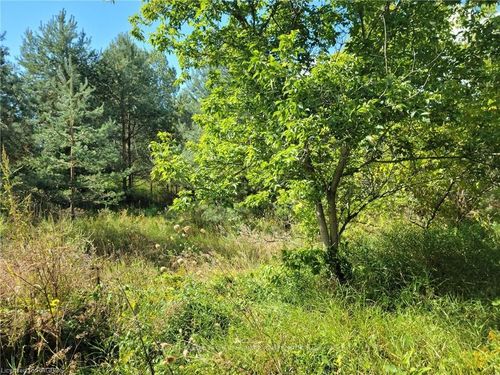 12 East St, Williamsford, ON, N0H2V0 | Card Image