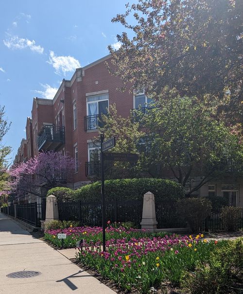 3b-1406 S Halsted St, Chicago, IL, 60607-5120 | Card Image