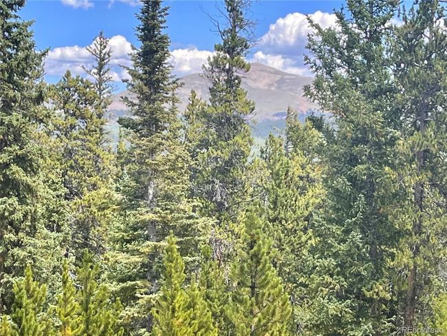 676 Dry Gulch Rd, Home with 0 bedrooms, 0 bathrooms and null parking in Fairplay CO | Image 25