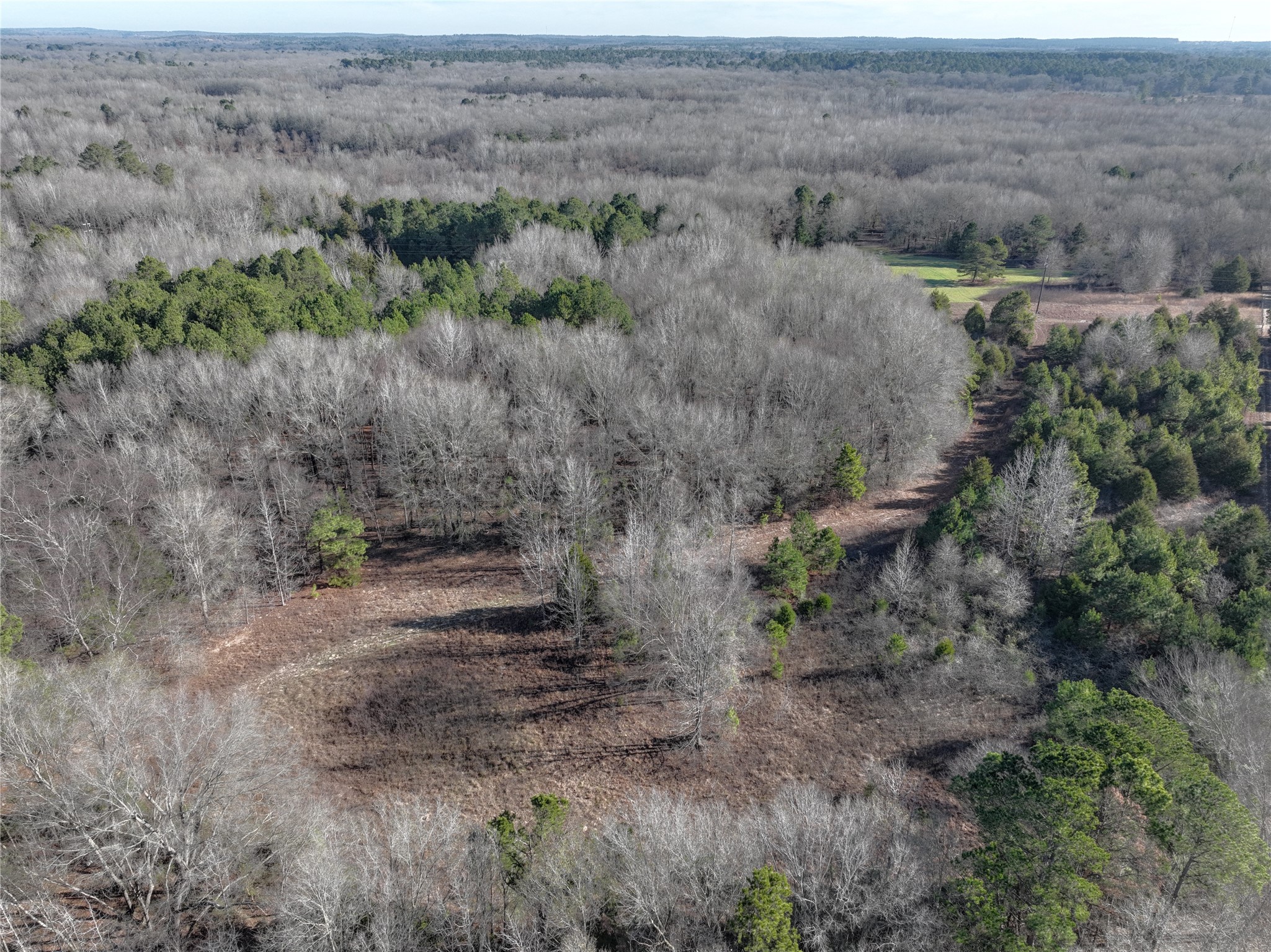 Land in Quitman 3
