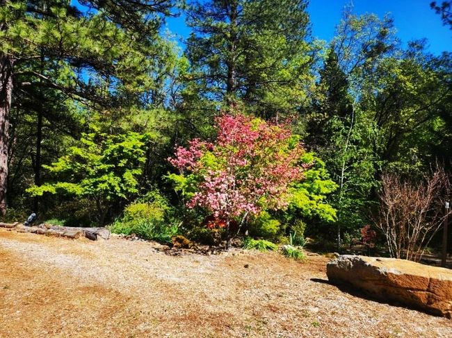 955 Grinding Rock Ct, House other with 3 bedrooms, 2 bathrooms and null parking in West Point CA | Image 56