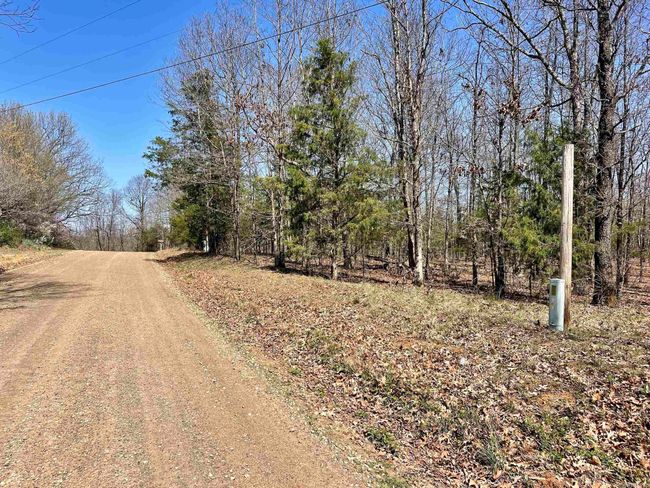 000 Dabney Rd, Home with 0 bedrooms, 0 bathrooms and null parking in Jerusalem AR | Image 37