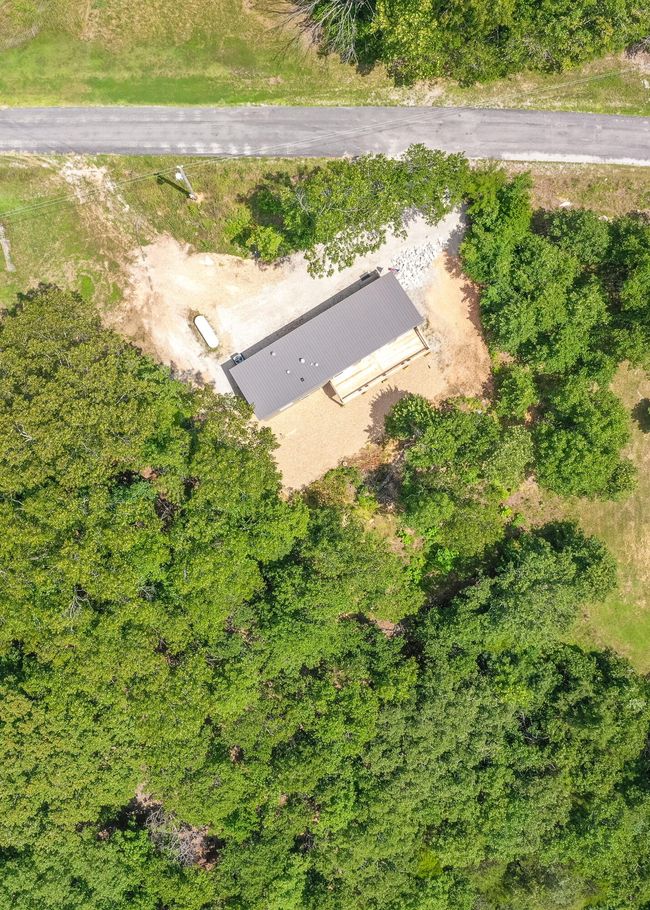 Briggs-49 | Image 32