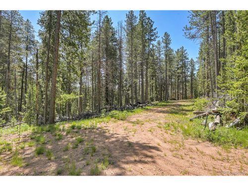 7 Wallace Ave, Conifer, CO, 80433 | Card Image