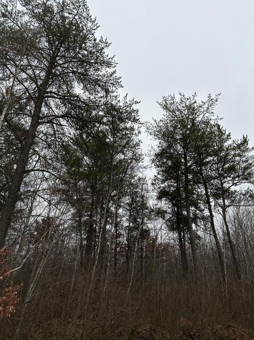 4069-13-ON Prairie Lake Rd, Tomahawk, WI, 54487 | Card Image