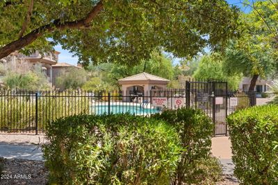 Lush vegetation surrounds this common area. Great View from Living Area of Condo! | Image 1